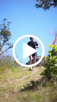 BIB:  <button type="button" onclick="openModal(26596379)" class="btn btn-primary btn-sm float-right" data-toggle="modal" data-target=".modal-high-quality">
                <i class="fa fa-download"></i> Download
                </button>